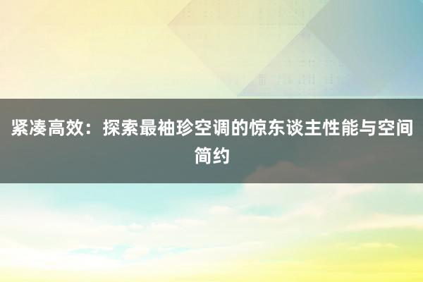 紧凑高效：探索最袖珍空调的惊东谈主性能与空间简约